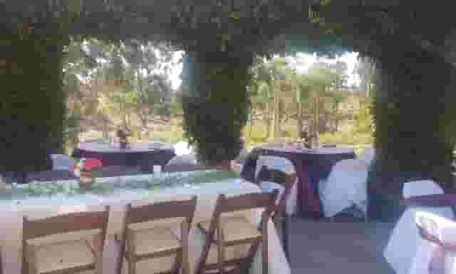 Arbor View Room