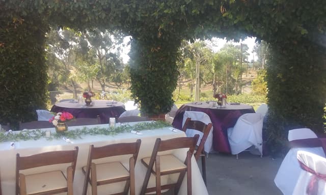 Arbor View Room
