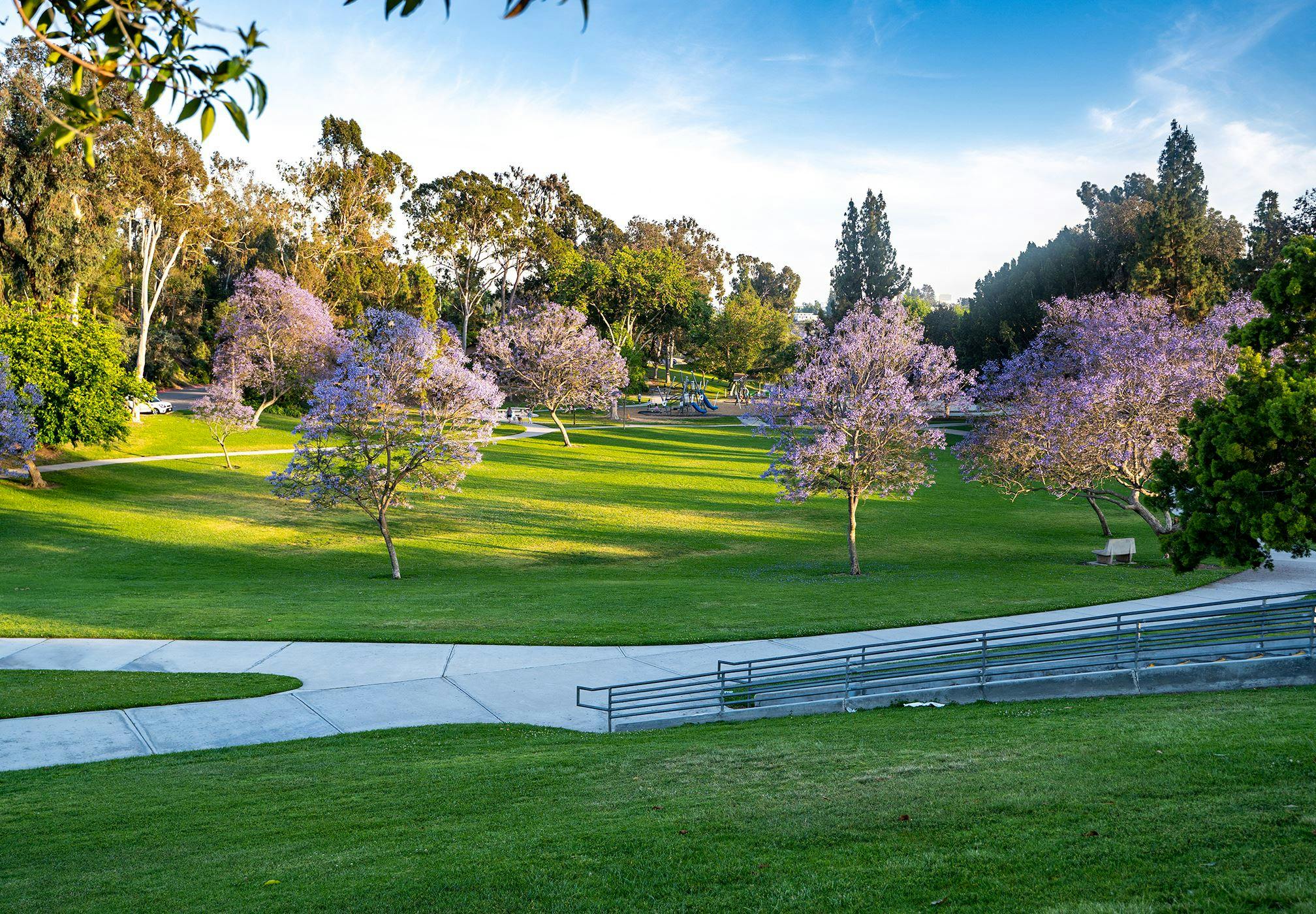 La Mesa Community Center's Performing Arts Room, ideal for outdoor events with lush greenery.