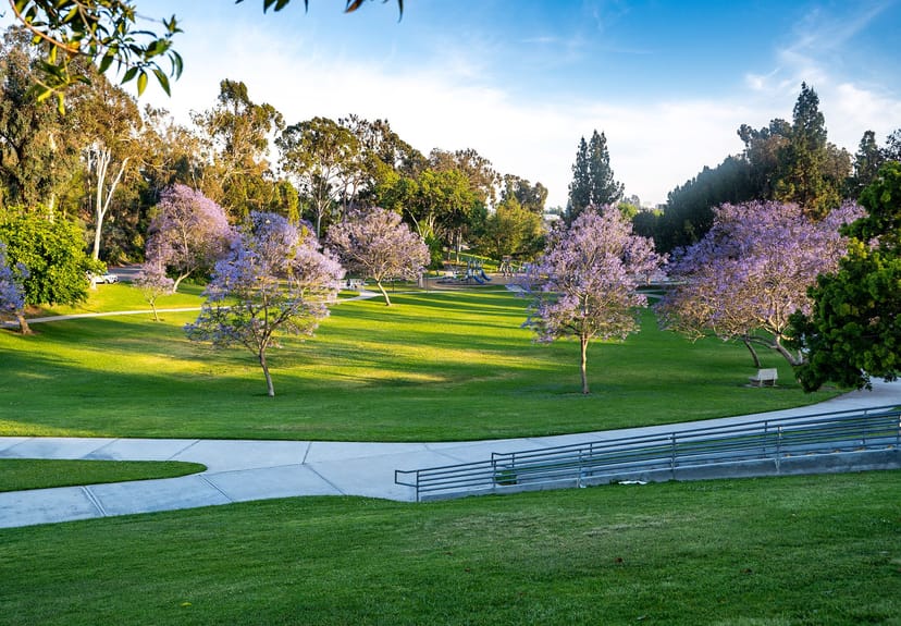 La Mesa Community Center's Performing Arts Room, ideal for outdoor events with lush greenery.