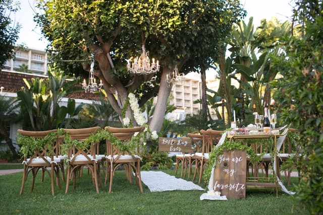 Outdoor lawns
