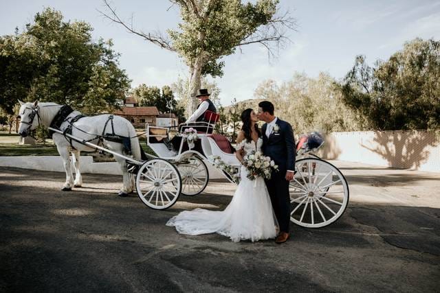 Romantic outdoor wedding with couple kissing by horse-drawn carriage at Harmony Estate.