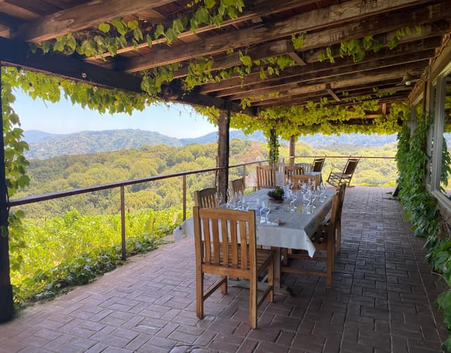Outdoor Patio