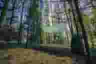 Party Venues
