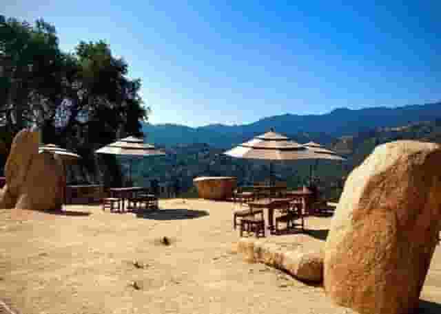 Tasting Room