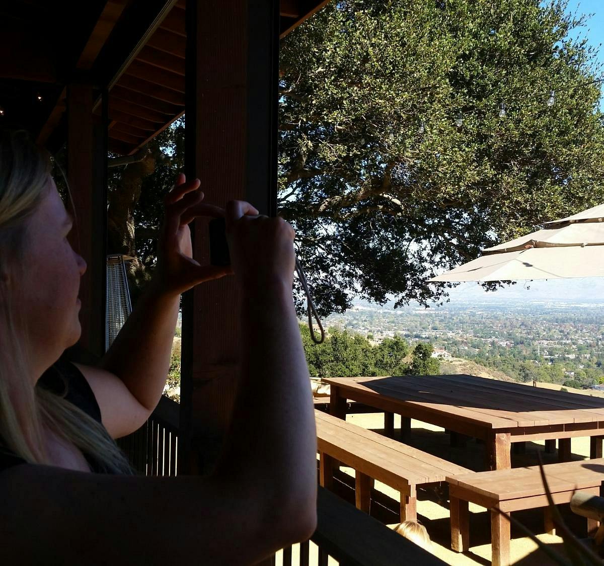 Tasting Room at House Family Vineyards, scenic outdoor venue for team-building events.