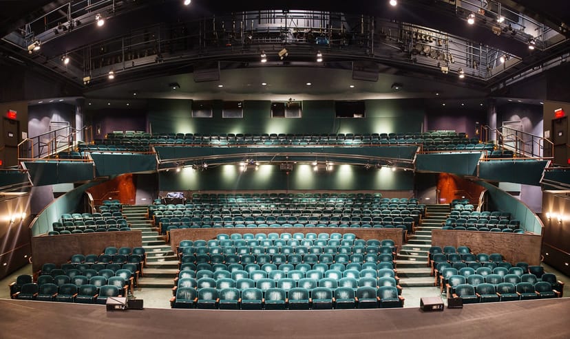 Orchestra in Hammer Theatre with tiered seating for performances and events.