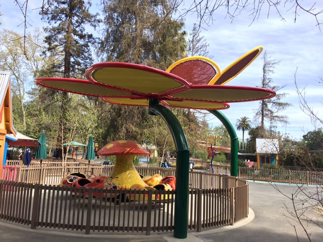 Vibrant Sunflower Circle at Happy Hollow Park, perfect for family events and team-building.