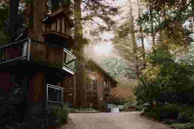 Tree House