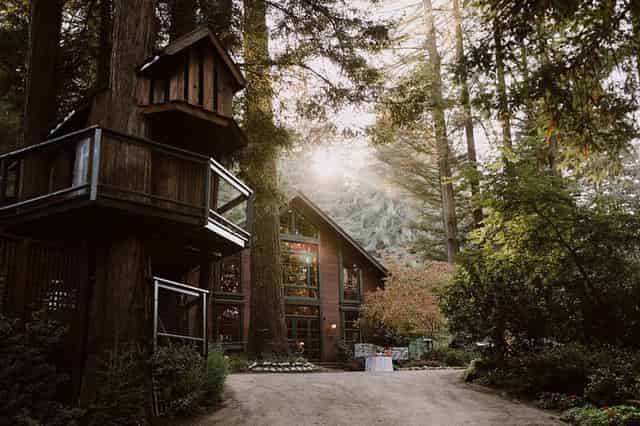 Tree House