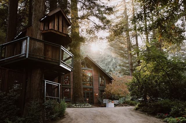 Tree House