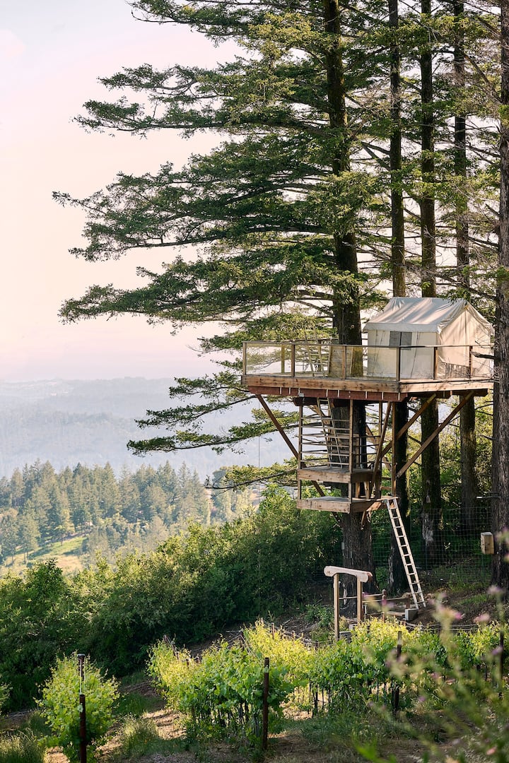 Tree House in Nestldown: unique venue for retreats and team-building events.