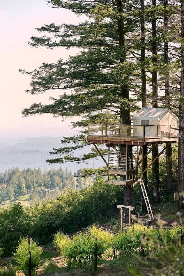 Tree House