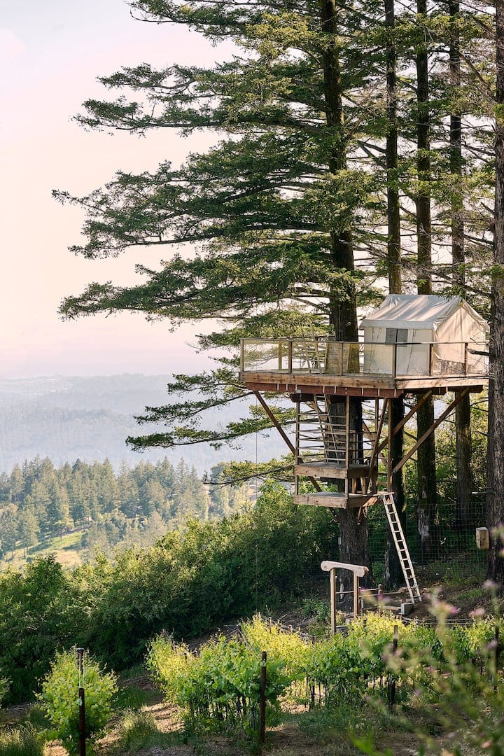 Tree House in Nestldown: unique venue for retreats and team-building events.