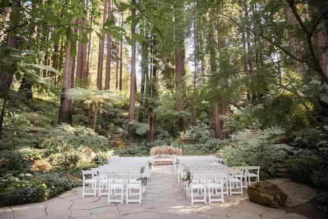 Tree House in Nestldown: elegant outdoor wedding venue among towering redwoods.
