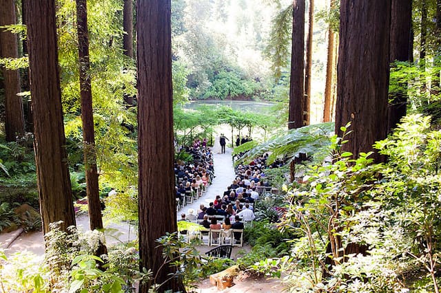 Tree House venue in Nestldown, surrounded by redwoods, ideal for weddings and retreats.