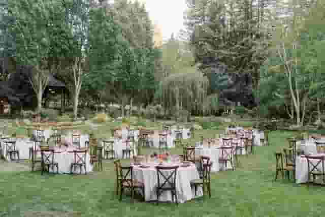 The Alice & Wonderland Table