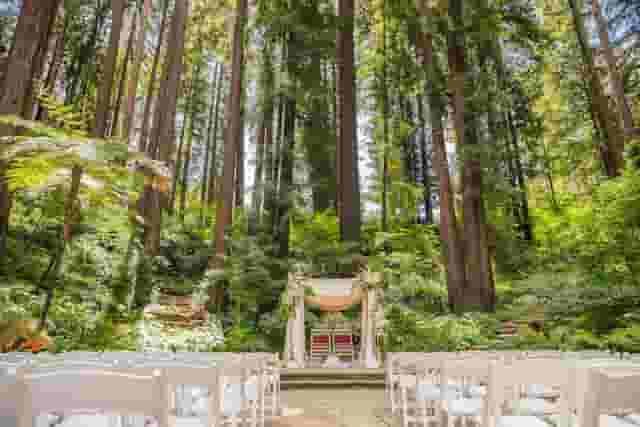 The Alice & Wonderland Table