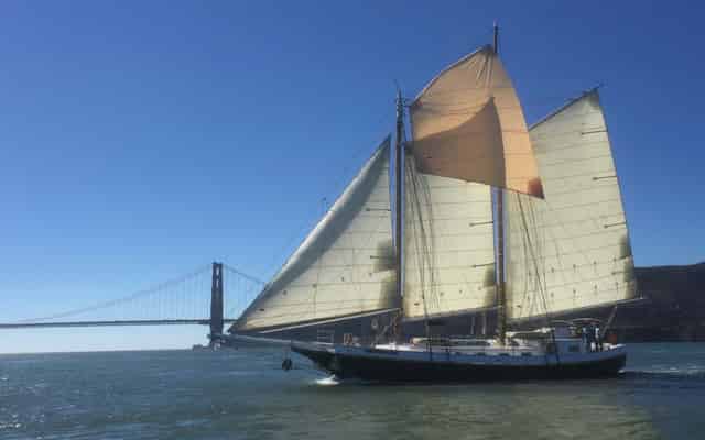 Bay Lights Charters