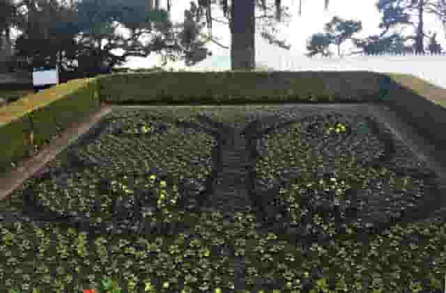 Butterfly Garden