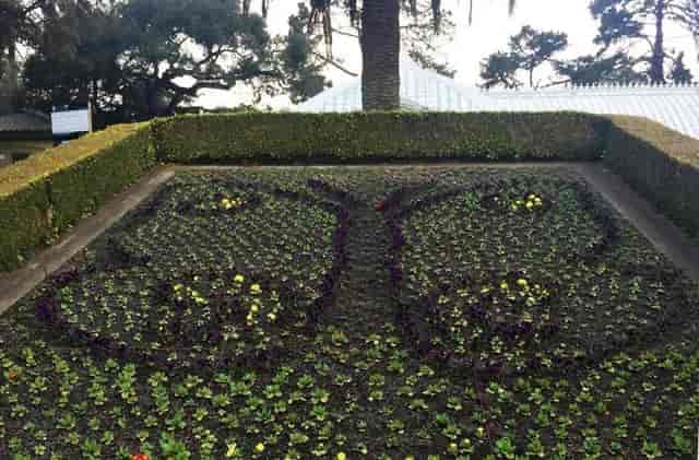 Butterfly Garden at Le Taillevent: vibrant floral design for outdoor events and gatherings.