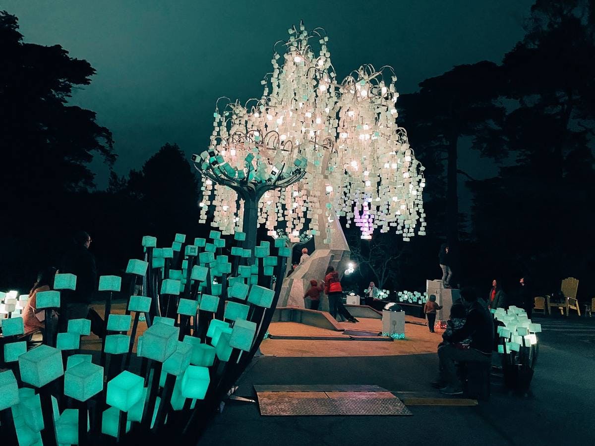 Butterfly Garden at Le Taillevent with glowing tree lights, perfect for weddings and events.