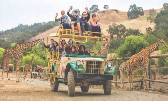 Safari Adventure