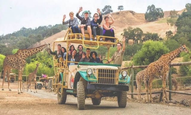 Safari adventure team-building event with giraffes at Restaurant Le Taillevent.