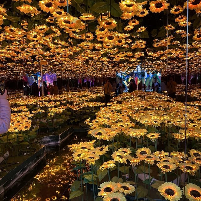 Immersive sunflower floral installation at Enchanted Forests, Great Mall event space.