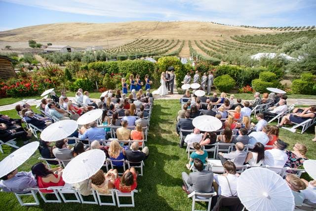 Outdoor wedding ceremony in Rose Garden at Purple Orchid Resort, with lush vineyard backdrop.