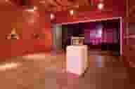 Party Venues