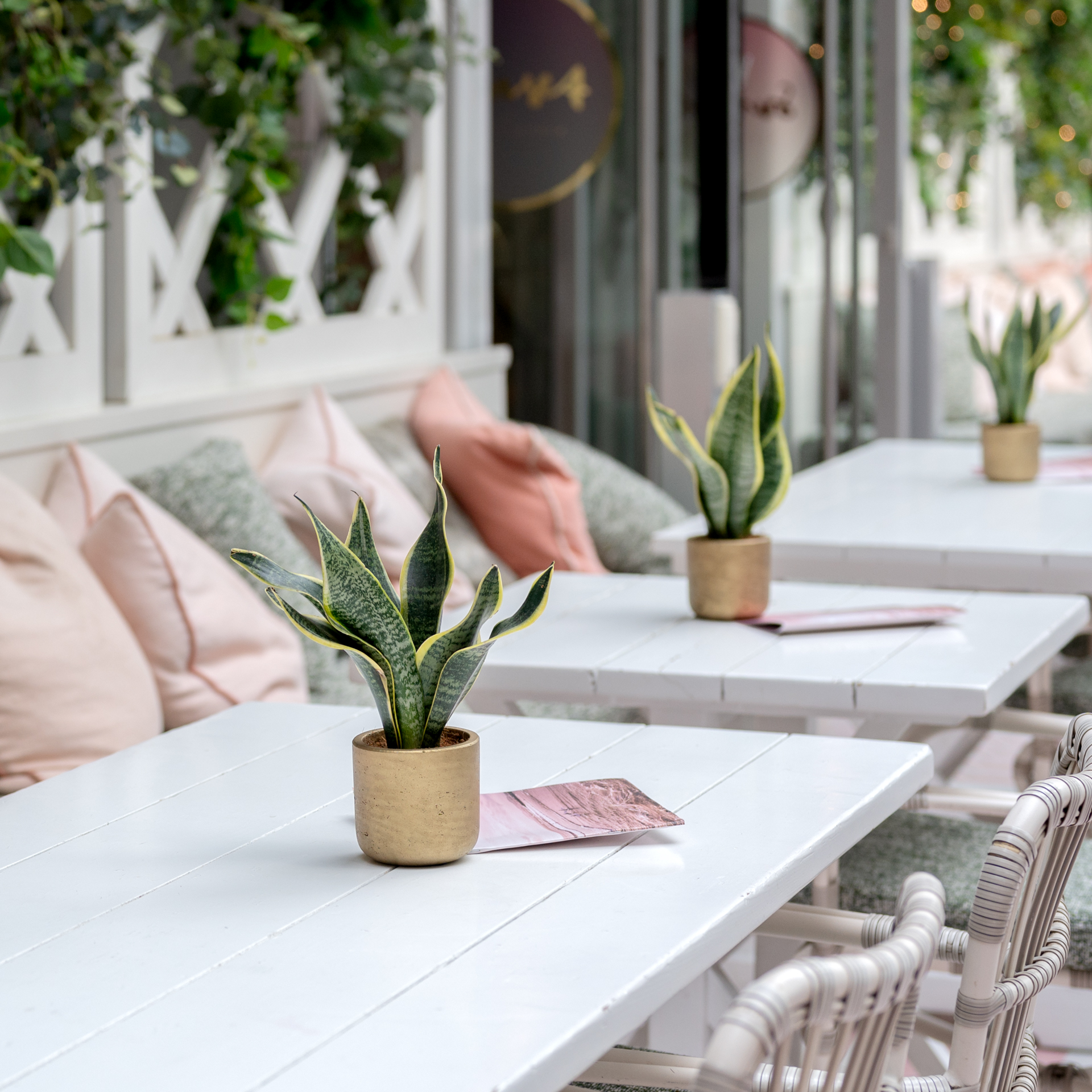Stylish event space with potted plants, ideal for networking and casual meetings. - Banner