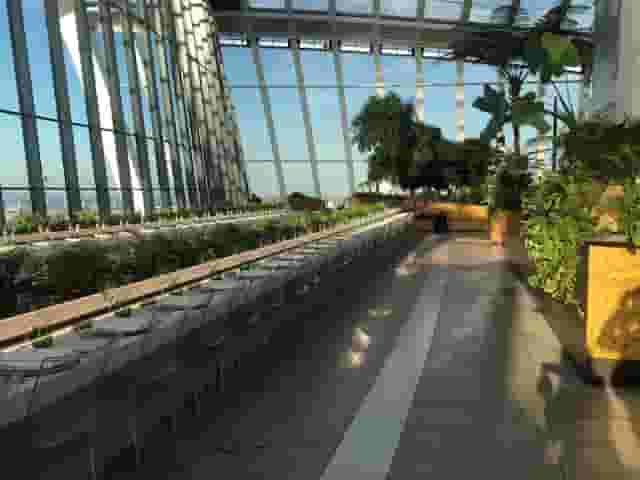 Sky Garden London