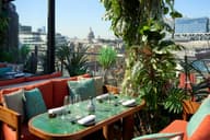 Rooftop Bars 