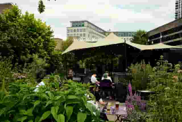 Queen Elizabeth Hall Roof Garden