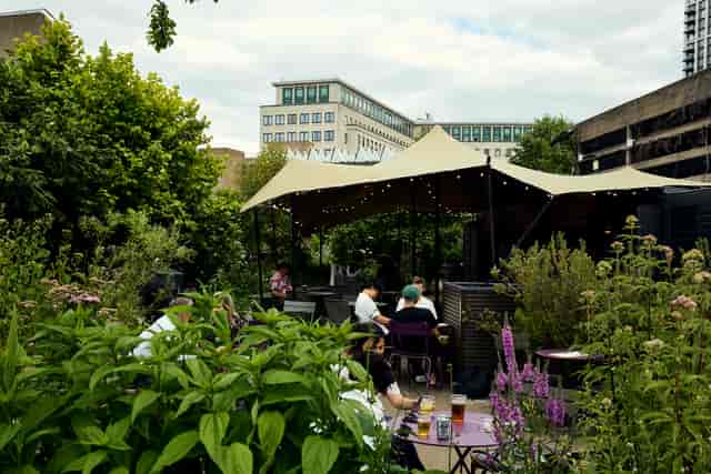 Queen Elizabeth Hall Roof Garden, lush greenery, ideal for outdoor events and gatherings.