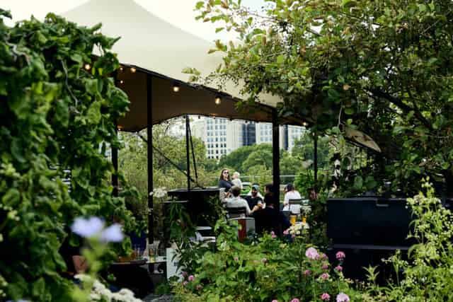 Queen Elizabeth Hall Roof Garden
