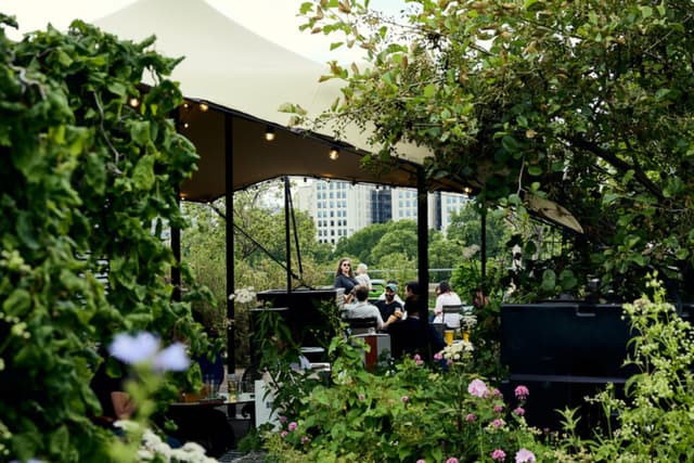 Queen Elizabeth Hall Roof Garden