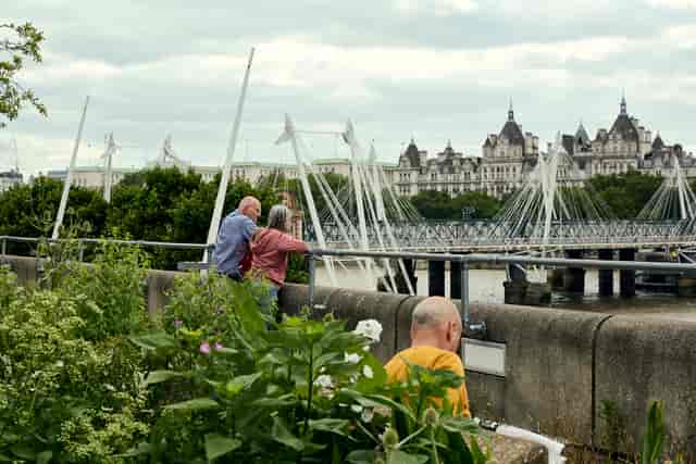 Queen Elizabeth Hall Roof Garden, elegant riverside venue for networking events.
