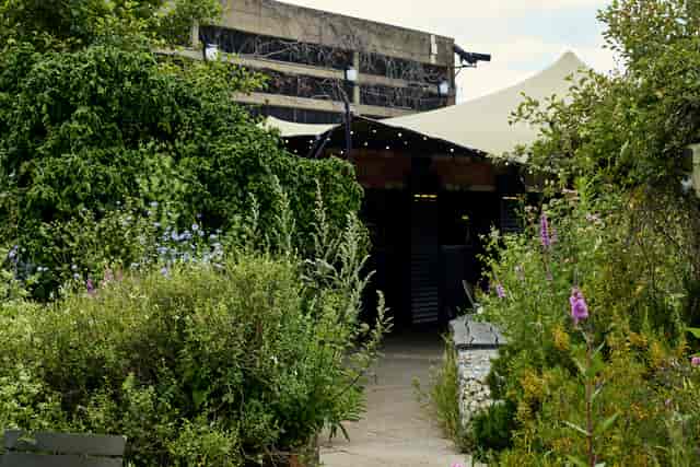 Queen Elizabeth Hall Roof Garden: lush venue for events with vibrant flowers and string lights.