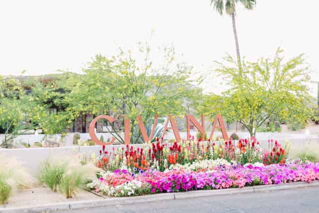 Rose Garden