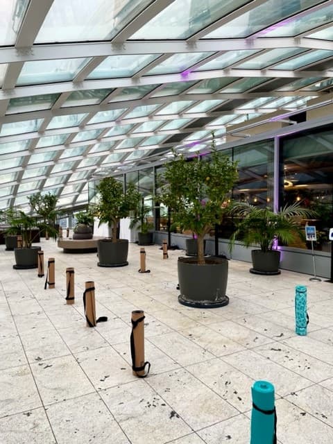 Sky Garden London