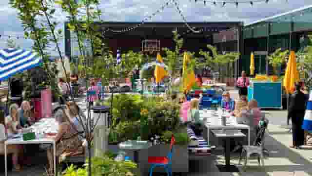 Skylark Roof Garden