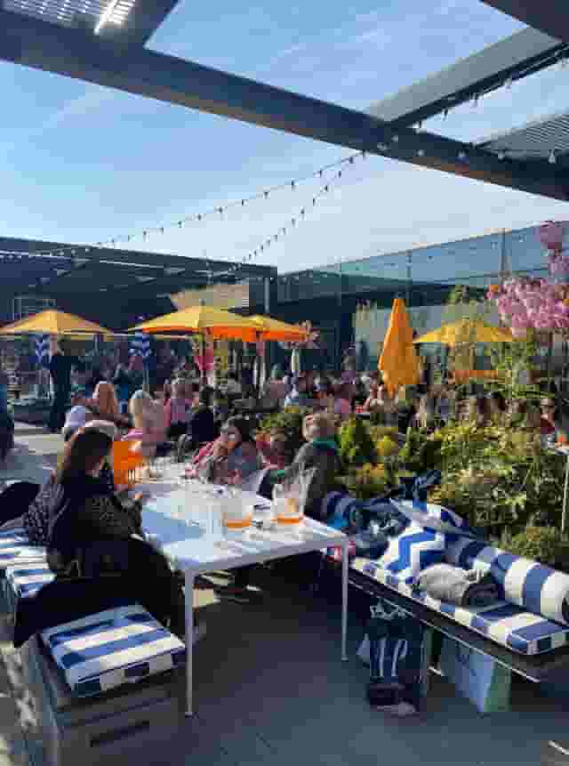 Skylark Roof Garden