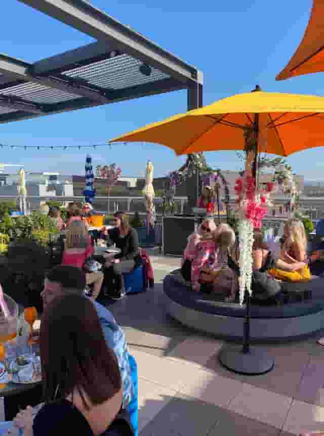 Skylark Roof Garden