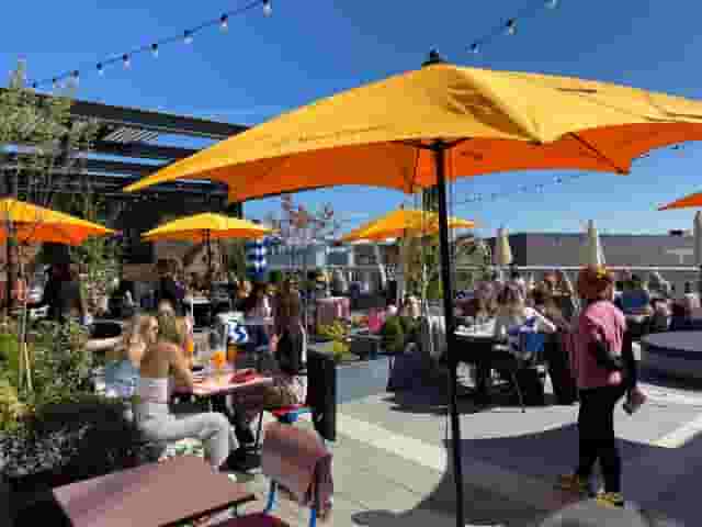 Skylark Roof Garden