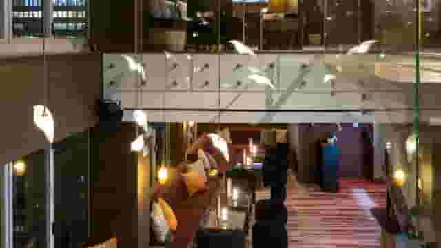 Fully Enclosed Skybar/Lounge