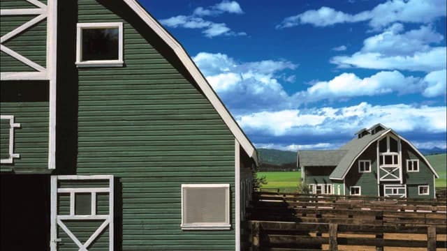 Bull Barn