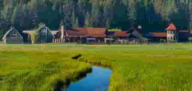 Bull Barn