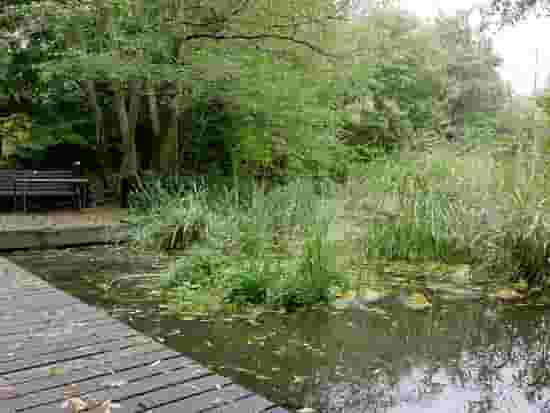 Camley Street Natural Park +1 more